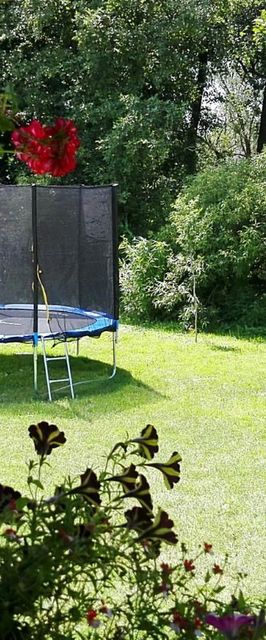 Domki i pokoje nad rzeką Wieprz