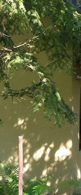 Domki w Dolinie Szklarki