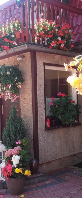 Agroturystyka Jaworowy Domek