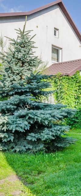 Mikoszewo wczasy nad morzem