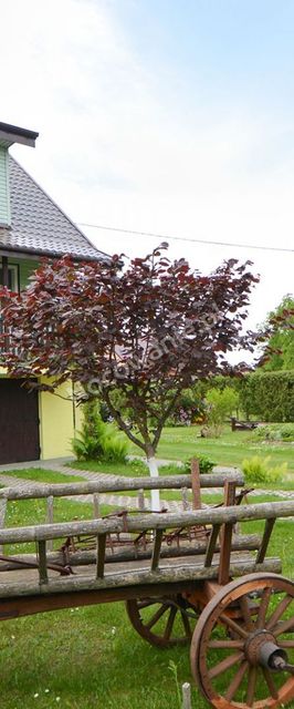 Nocleg u Kołodzieja