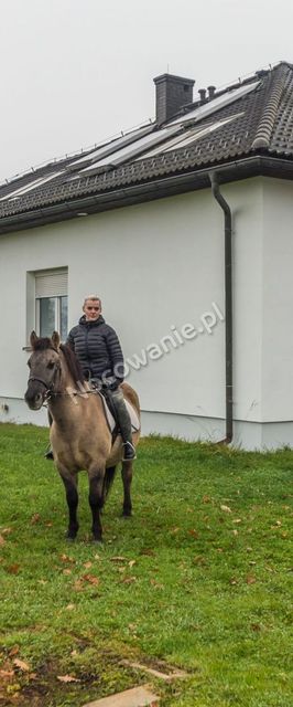 Agroturystyka Mustang