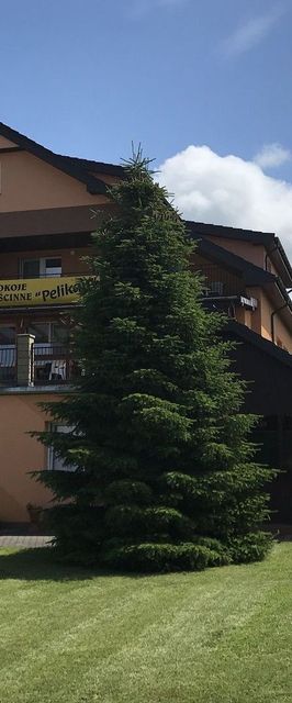Pokoje Gościnne Pelikan