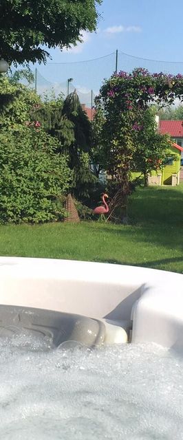 Flamandia & Willa Leśna