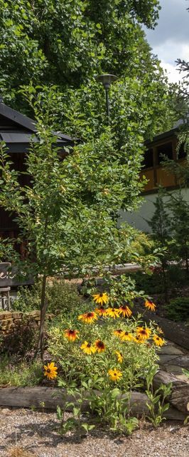 Domki całoroczne Krasno