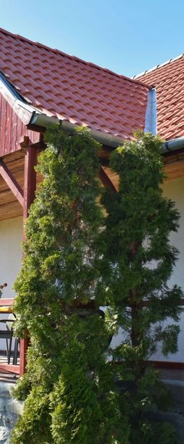 Judit Vendégház Füzér