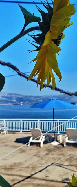 Apartmanok és Szobák A Tenger Mellett Lumbarda, Korcula - 14647 Lumbarda