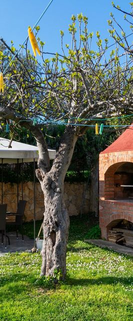 Apartmanok Parkolóhellyel Bibinje, Zadar - 14773 Bibinje