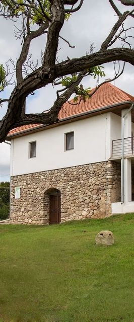 Babotsay Kúria Fony