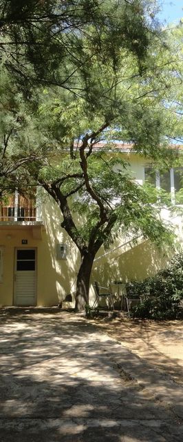 Nyaralóház A Tenger Mellett Drace, Peljesac - 13117 Drače