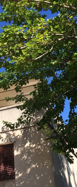 Nyaralóház A Tenger Mellett Supetarska Draga - Gonar Rab - 15090