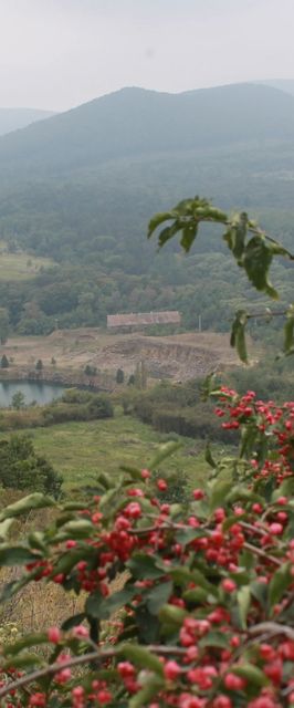 Hársfa Vendégház Erdőbénye