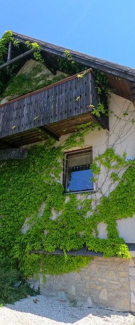 Medvefül Vendégház Hárskút