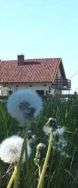 Domki na Mazurach Kurka Wodna Mikołajki