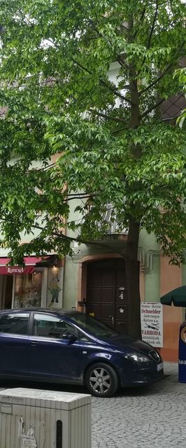 Violetta Apartman Hévíz