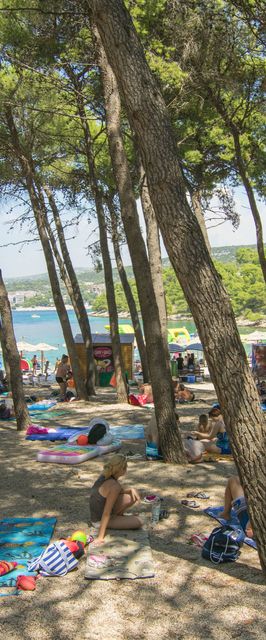 Apartment Ljuba Primosten