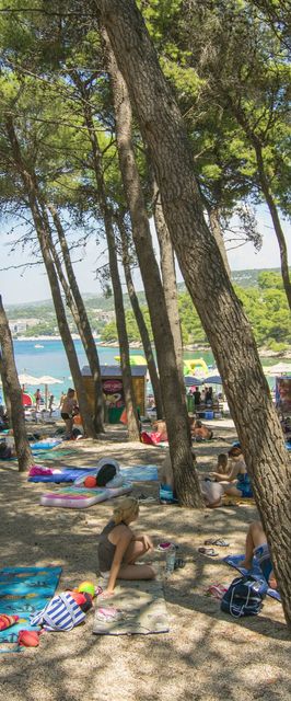 Apartment Ljuba Primosten