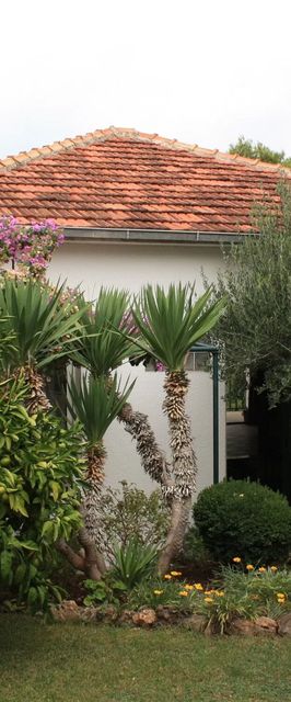 Apartmanok A Tenger Mellett Splitska, Brac - 2865 Splitska