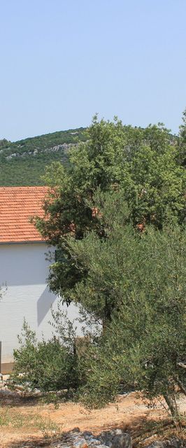 Apartmanok A Tenger Mellett Öböl Mala Lamjana, Ugljan - 347 Mala Lamjana