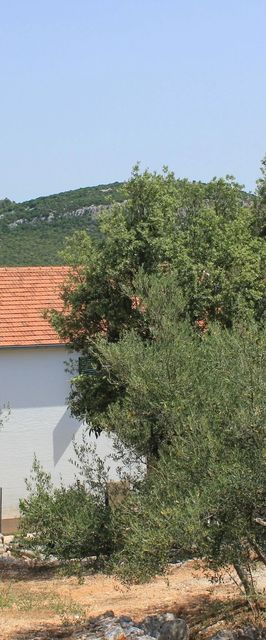 Apartmanok A Tenger Mellett Öböl Mala Lamjana, Ugljan - 347 Mala Lamjana