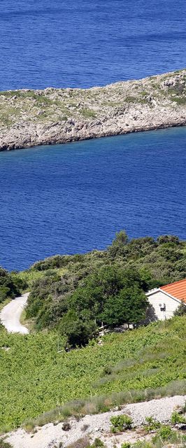 Nyaralóház Parkolóhellyel Dingac - Pristranj, Peljesac - 660 Dingač - Pristranj