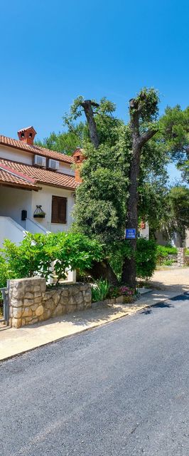 Apartmanok A Tenger Mellett Artatore, Losinj - 2509 Artatore