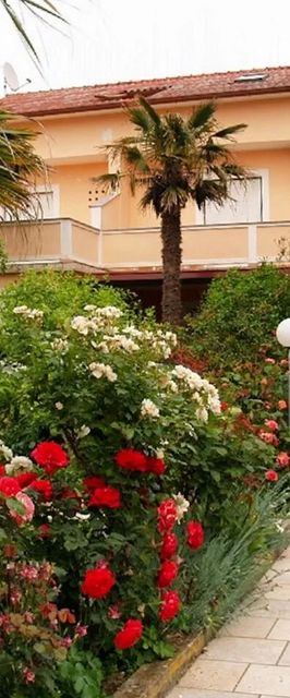 Apartmanok Parkolóhellyel Palit, Rab - 5028 Palit