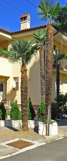 Apartmanok Parkolóhellyel Opric, Opátia - Opatija - 7728 Oprič