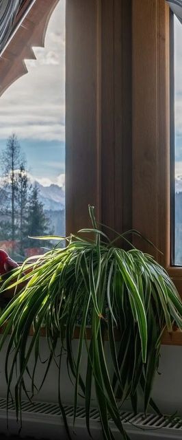 Domki i Apartamenty Tybet Bukowina Tatrzańska