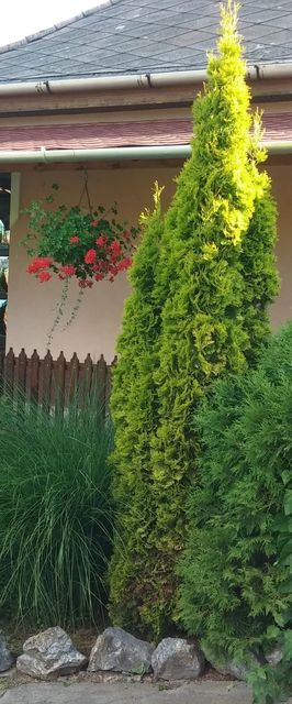 Bükk Vendégház Mályinka