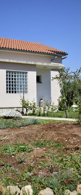 Apartment Lucy Bajčići