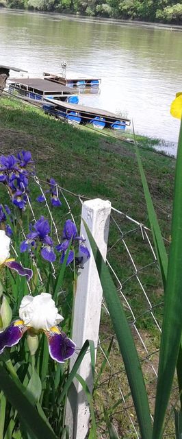 Anita Vendégház Szeged