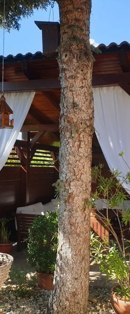 Häuschen Viktória Zamárdi