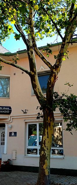 Körösök Völgye Panzió Szarvas