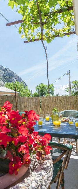 Apartment Petea Omis