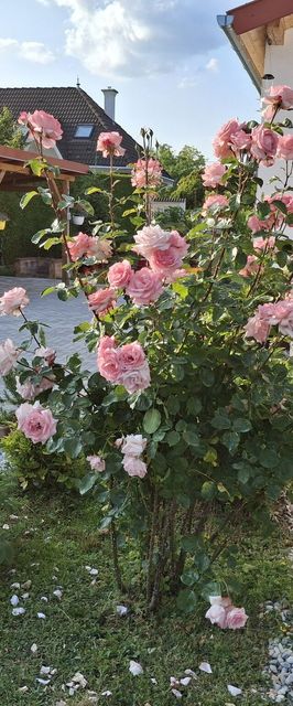 Zámor Nyaraló Keszthely