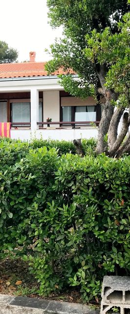 Apartment Marina Petrcane