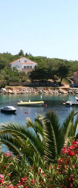 Seaside Apartments With A Swimming Pool Potočnica, Pag - 6407 Potočnica