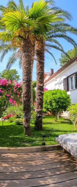 Apartmanok A Tenger Mellett Artatore, Losinj - 8020 Artatore