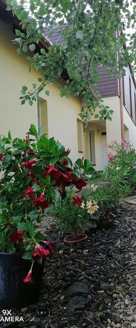 Perfekt Apartman Zamárdi