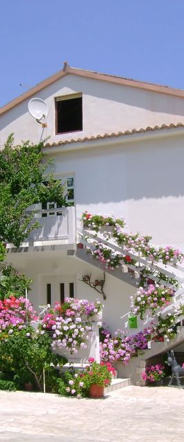 Apartmanok Parkolóhellyel Palit, Rab - 14610 Palit