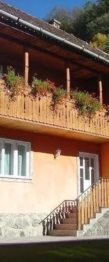 Casa de oaspeți Vadrózsa Praid