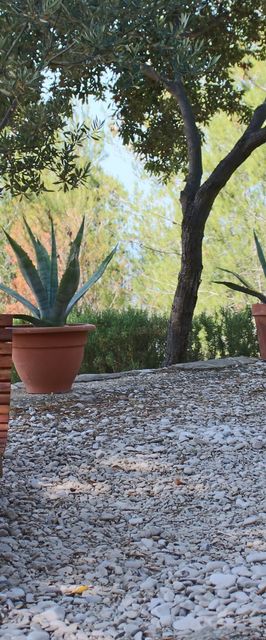 Robinzoni Apartmanok A Tenger Mellett Zavala, Hvar - 15357 Zavala