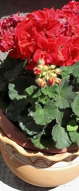 Délibáb Apartman Abádszalók