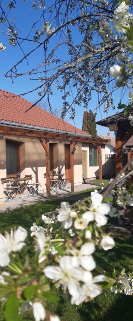 Szőlőfürt Vendégház Egerszalók