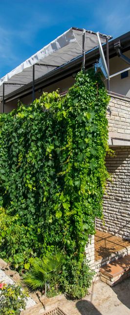 Apartments Andrija Pirovac