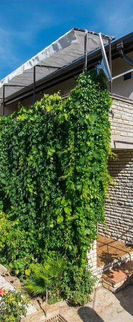 Apartments Andrija Pirovac