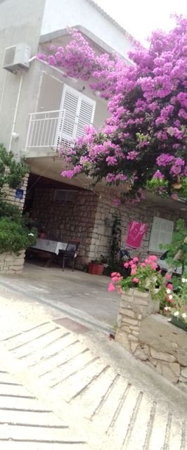 Apartment Anka Primosten