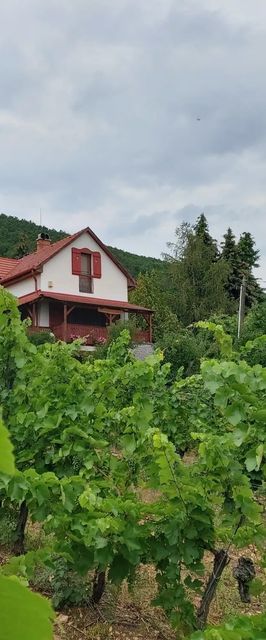 Szőlőcskei Vendégház és Pihenő Eger