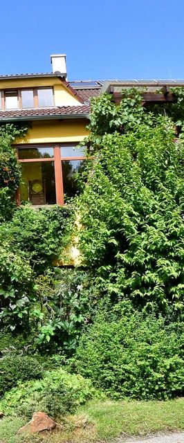 Penzion U Lesa České Budějovice